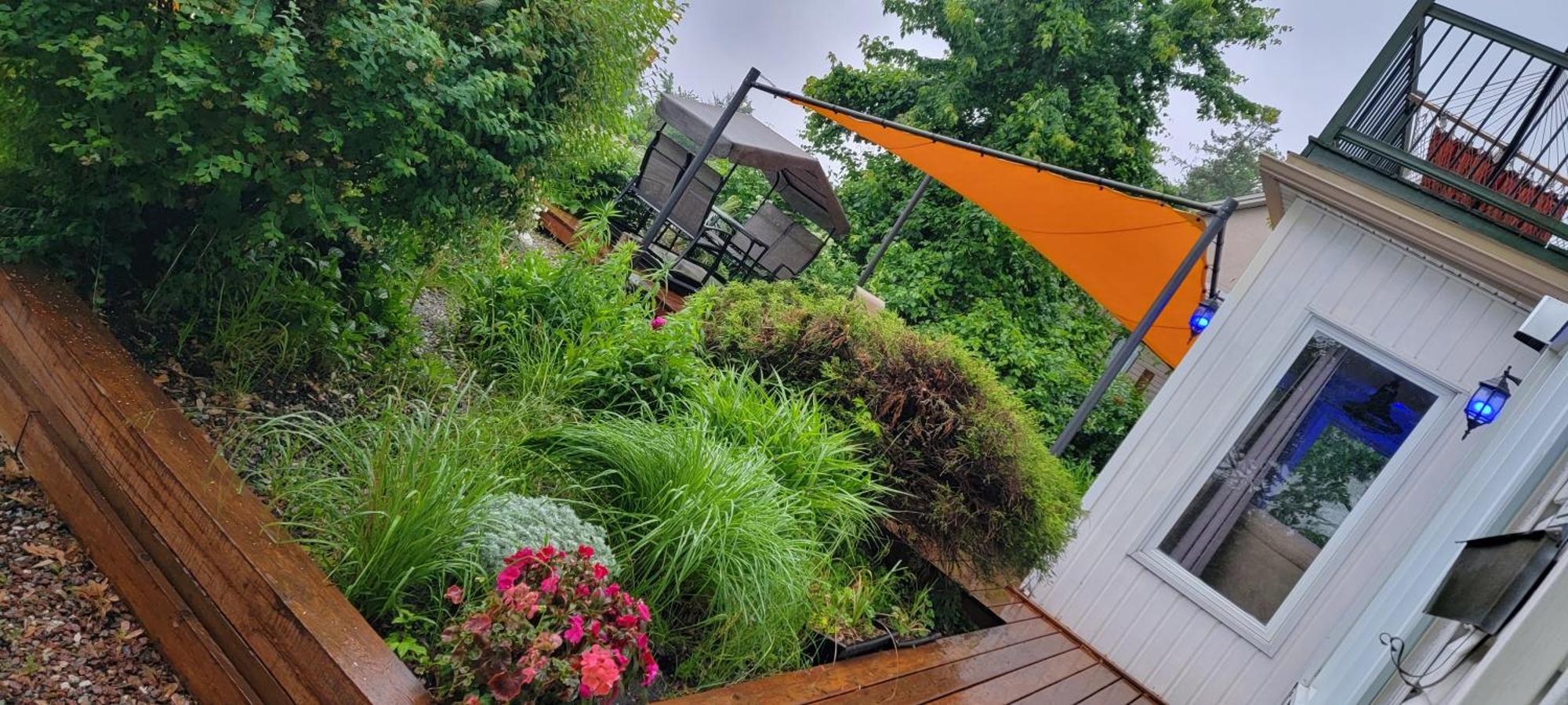 Kokomo Inn Bed And Breakfast Ottawa-Gatineau'S Only Tropical Riverfront B&B On The National Capital Cycling Pathway Route Verte #1 - For Adults Only - Chambre D'Hotes Tropical Aux Berges Des Outaouais Bnb #17542O エクステリア 写真